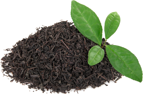 Grill und gewürzshop